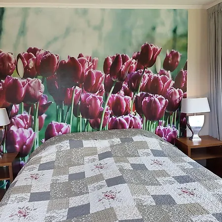 Herrloh 3* Winterberg