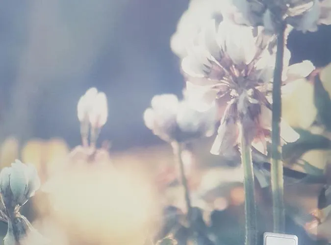 酒店 赫尔罗酒店